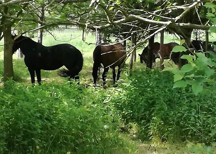 Feriehus Bobrowe Zacisze W Gorach Sokolich *